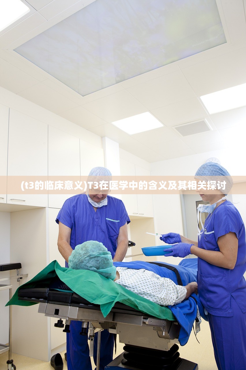 (指尖决斗家卡组)指尖决斗家最强阵容，策略、组合与战术的深度解析