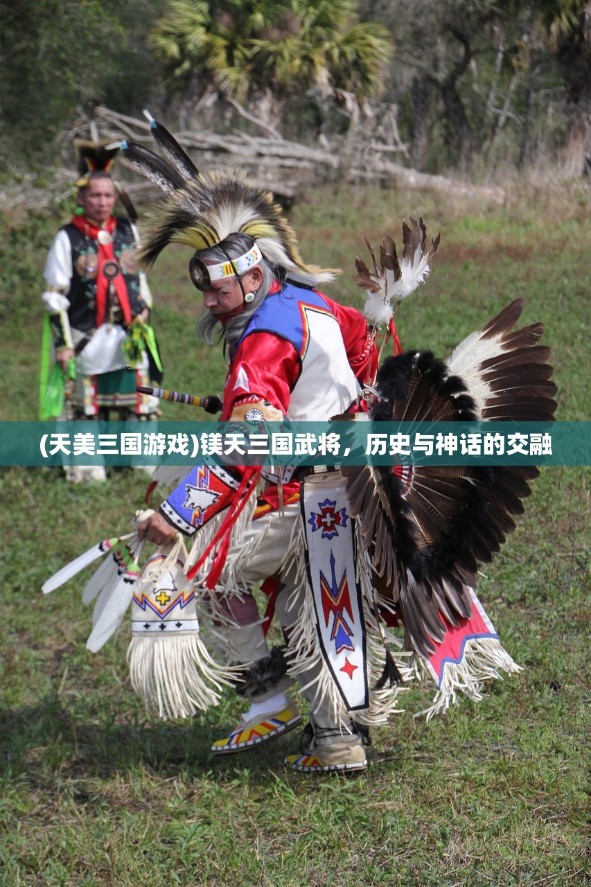 (抗战之无双战将何正道完整版)抗战之无双战将，英勇传奇与战略智慧的融合