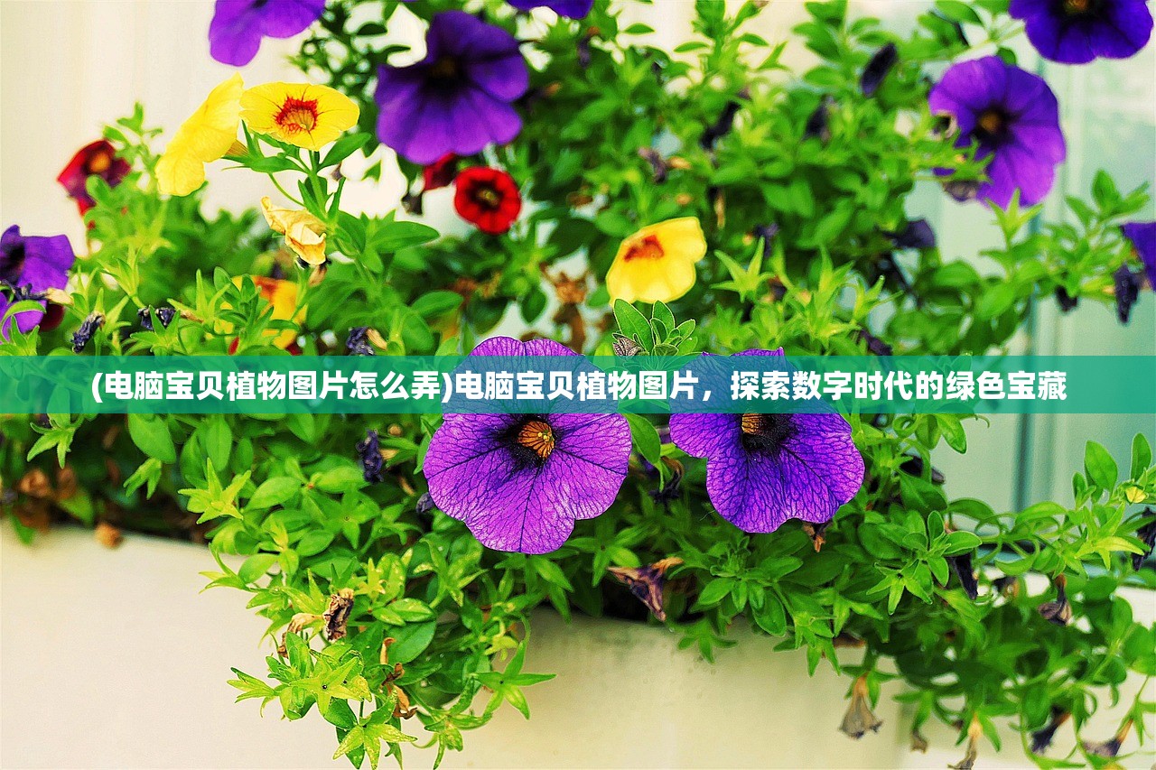 (刀剑演武职业攻略大全)刀剑演武职业攻略大全，从入门到精通