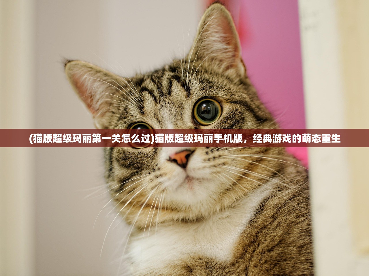 (中超风云2官方下载)中超风云2，赛场内外的故事与未来展望