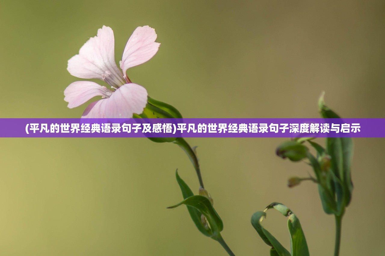 (暗区限定大金)暗区限定的探索与挑战