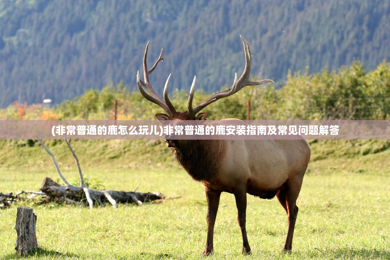 (烽火之争官方)关于烽火之争是抄哪个游戏，深度分析与探讨