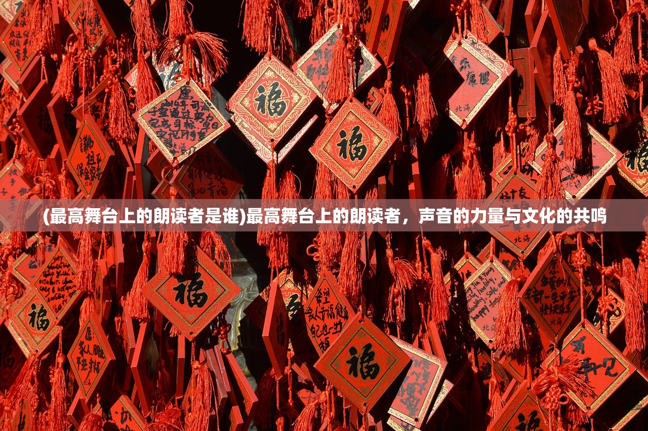 (双生幻想电视版小y登录)双生幻想电视版小y，深度解析与探讨
