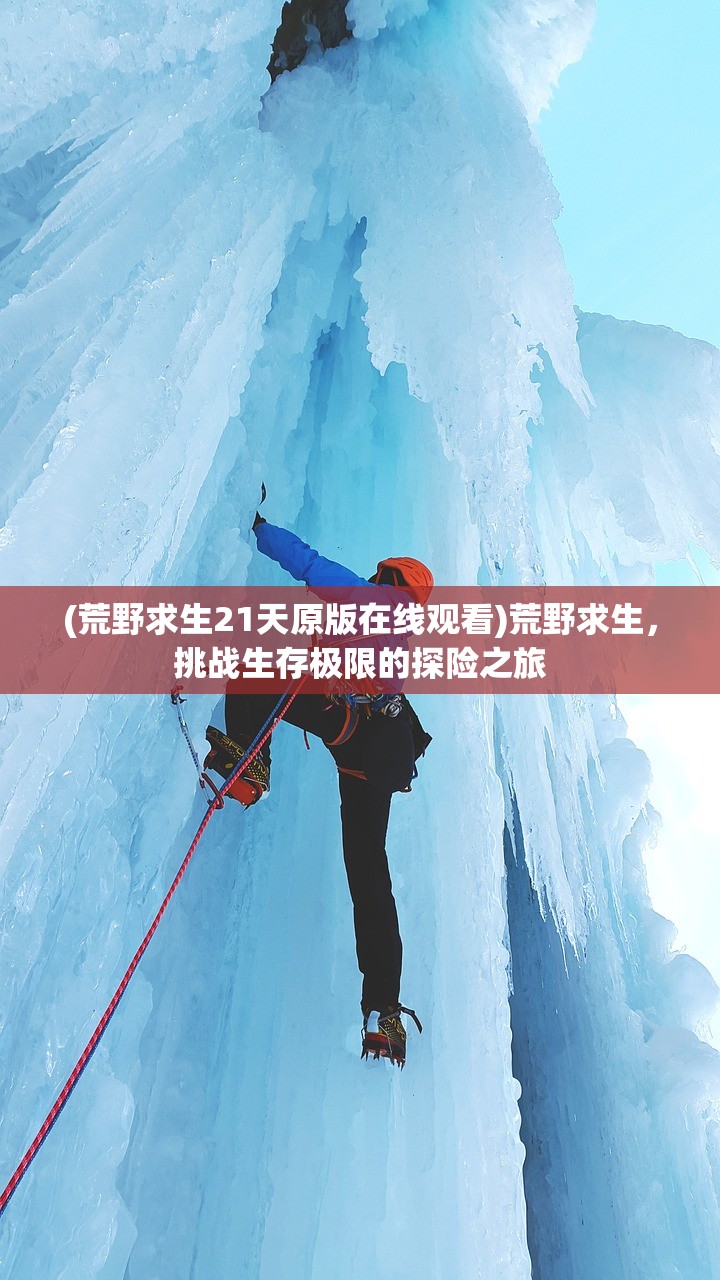 (神创天下最高等级是什么)神创天下最高等级解析及探索