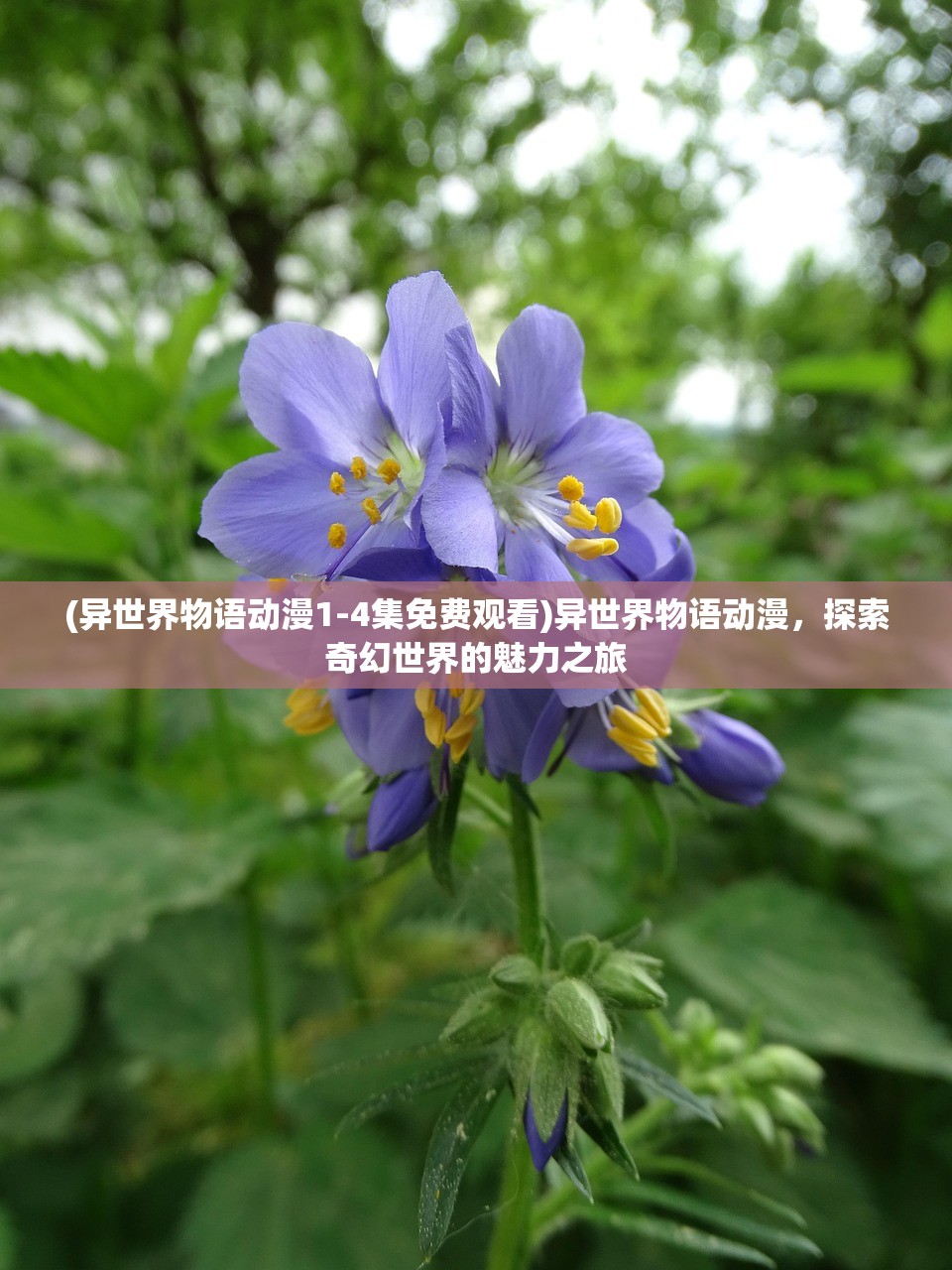 (幻想山海经阵容搭配)山海经幻想录平民攻略详解及常见问题解答