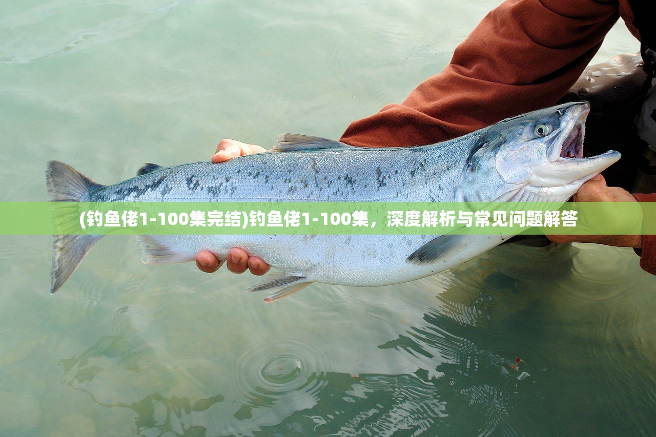 (幸存者重置计划攻略大全)幸存者重置计划攻略，全方位指南与常见问题解答