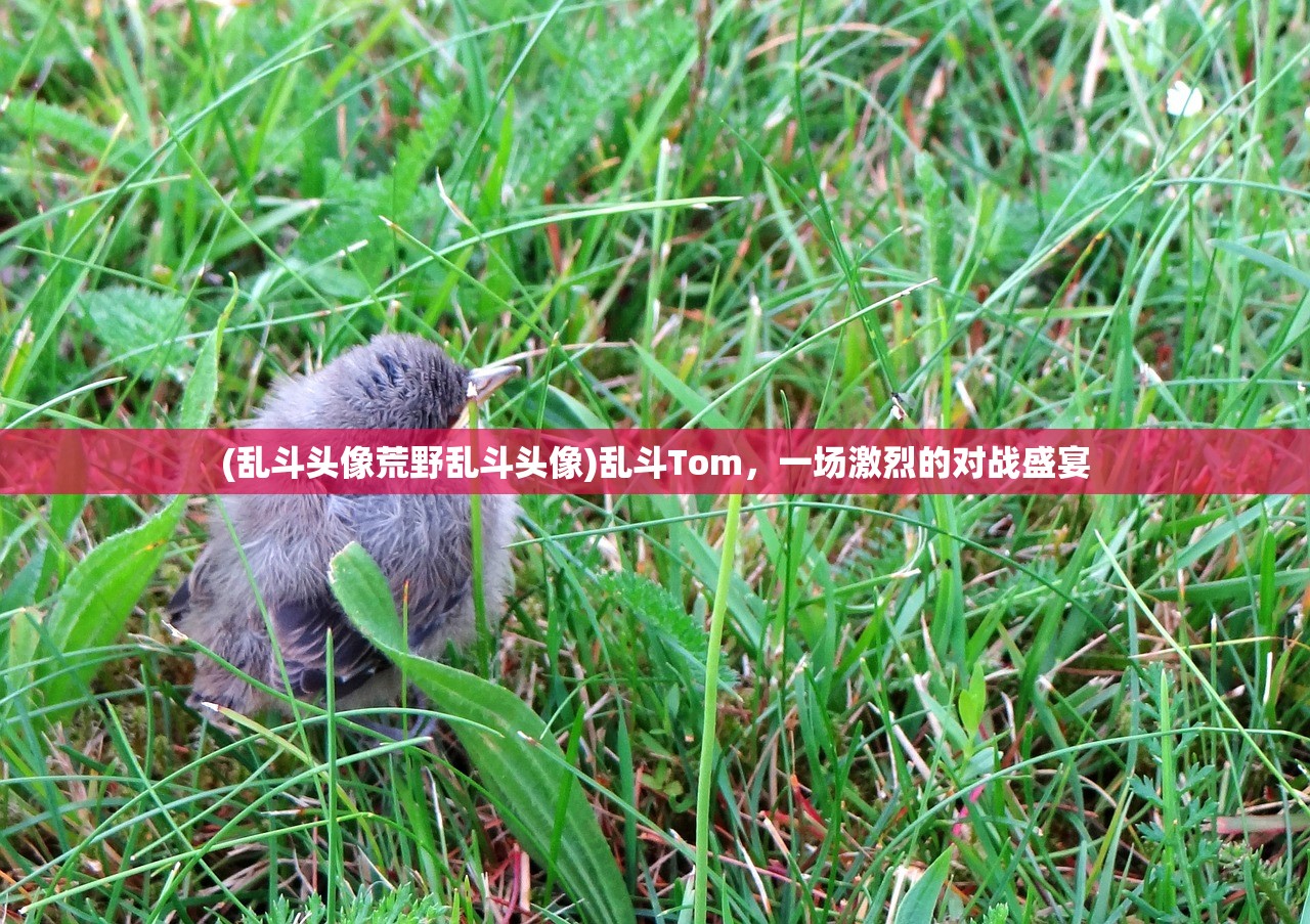 (糖果传奇2016版本)糖果传奇版旧版本大全，回顾与探索