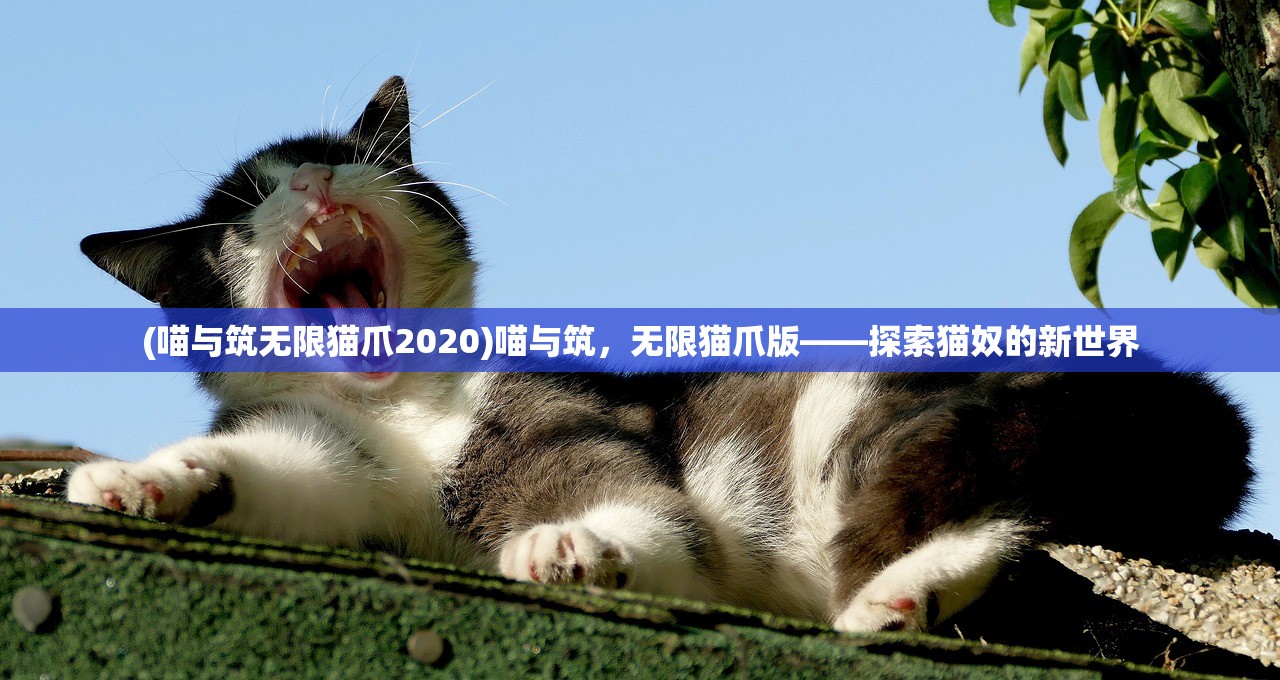 (神魔之上笔趣阁阅读)神魔之上笔趣阁无弹窗，奇幻世界的探索与畅想