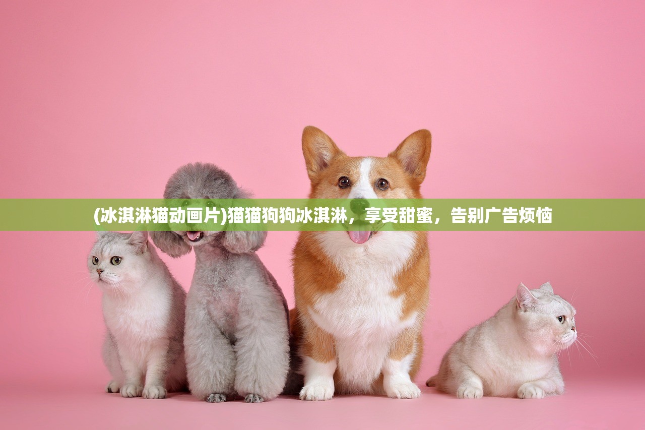 (光明重现是谁的台词)光明重现，105MB版本全面解析与常见问题解答