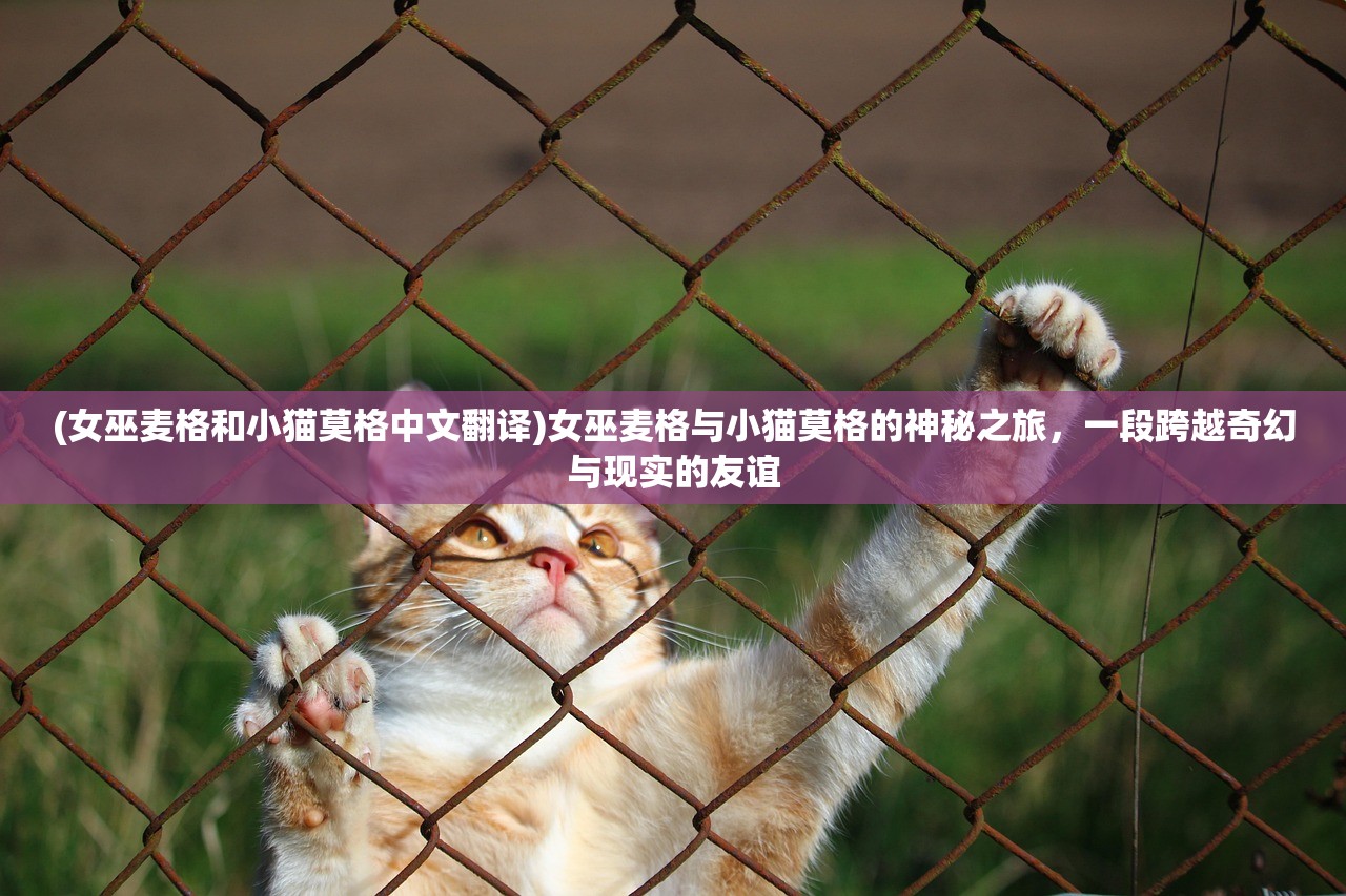 (乱世无双攻略)乱世无双，休闲养成游戏的新纪元