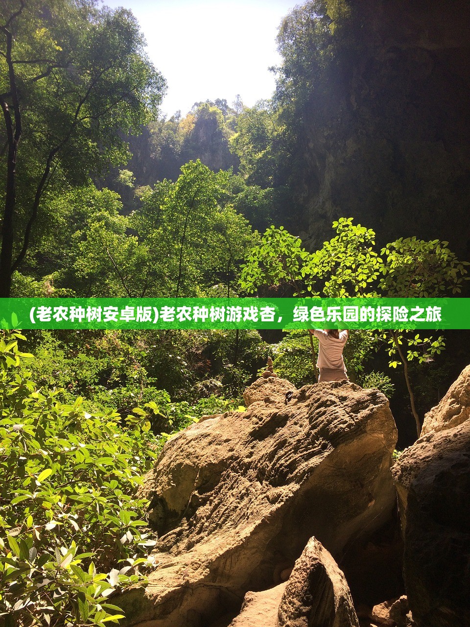(变形金刚领袖之证第三季英文版16集)变形金刚领袖之证第三季英文版，深度解析与常见问题解答