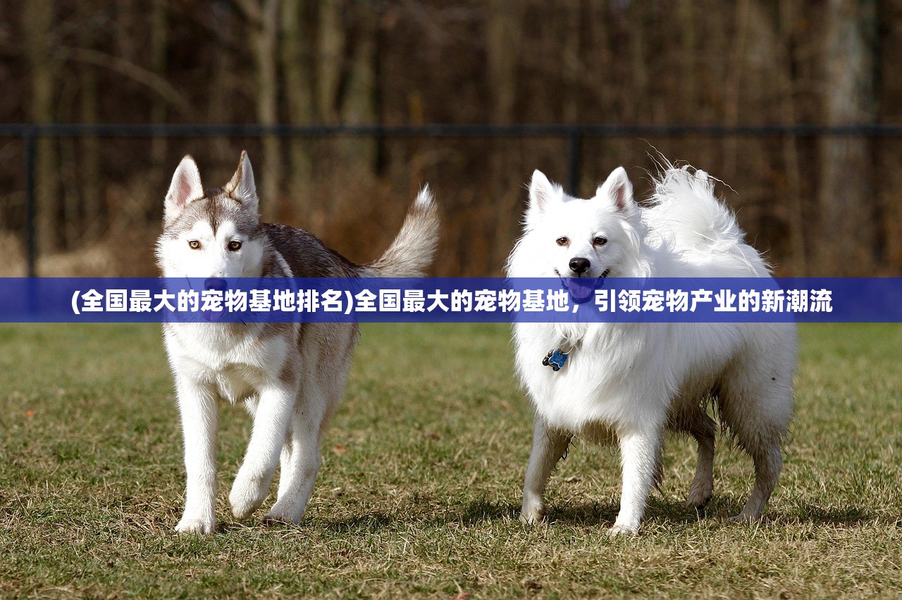 (回到三国志怎么玩不了)回到三国志，游戏关服深度解析