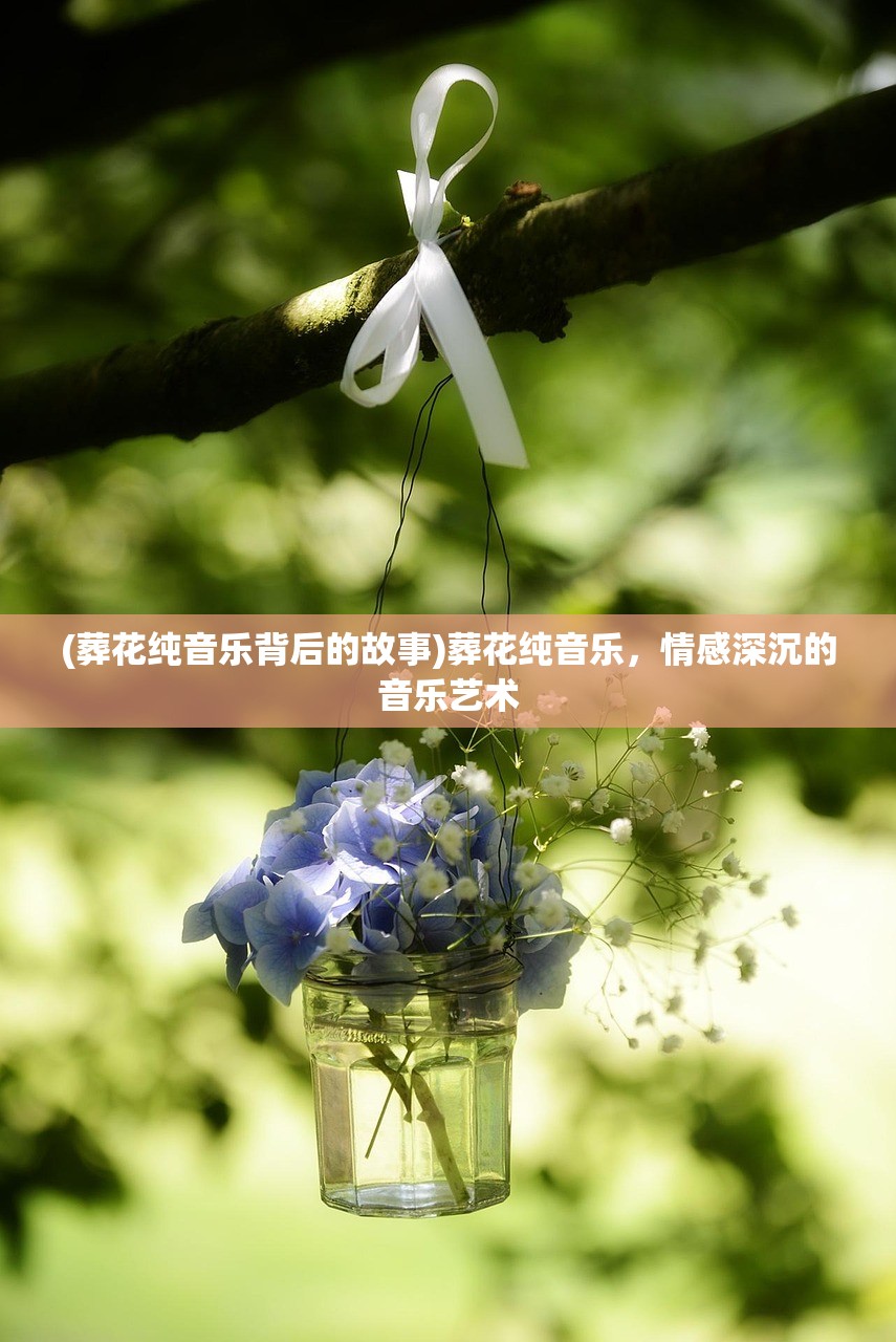 (无双dnf70)无双dnf，深度解析与常见问题解答