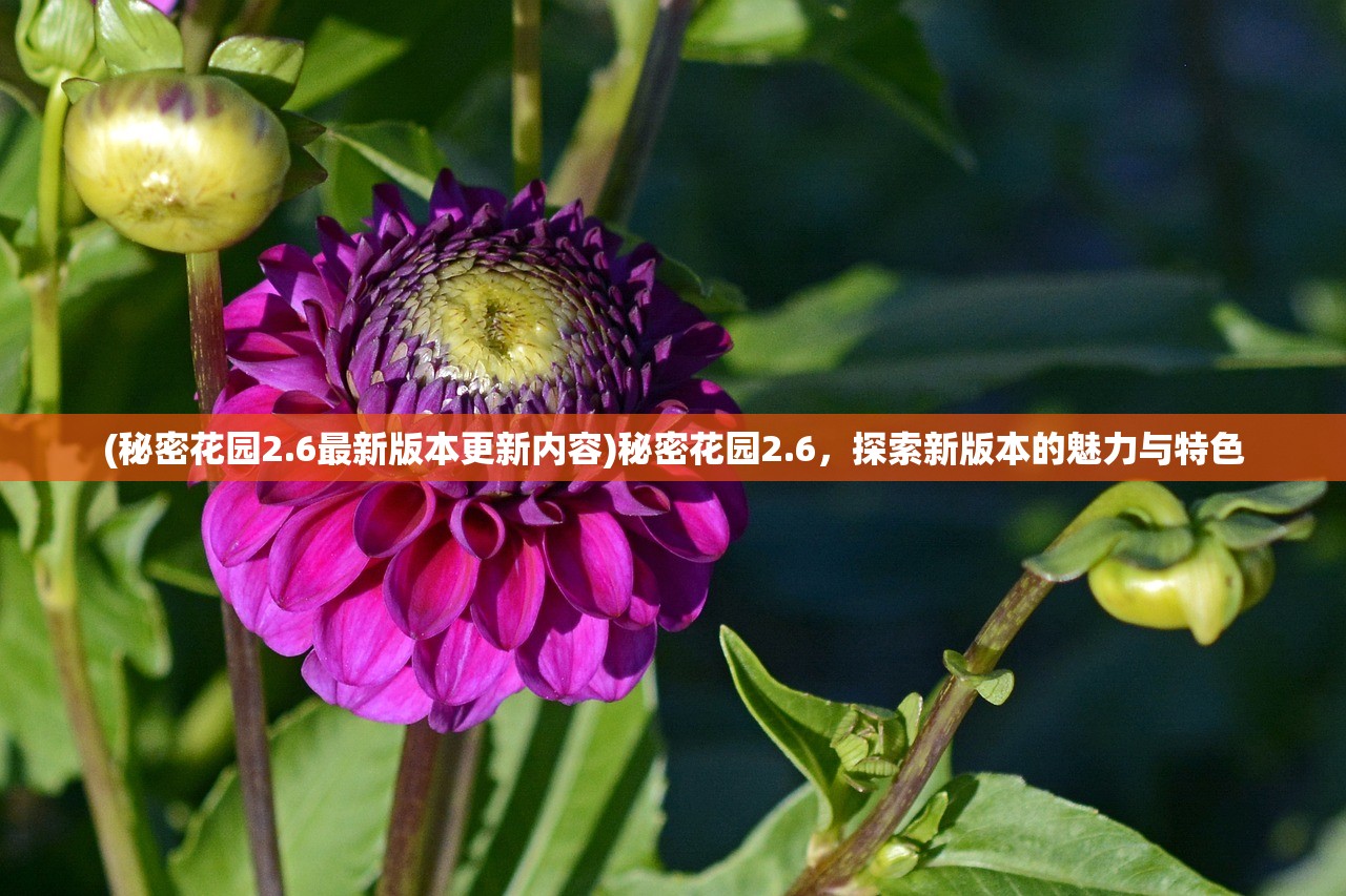 (跑跑卡丁车单机版安卓版)跑跑卡丁车单机版iOS，重温经典，畅享无限漂移乐趣
