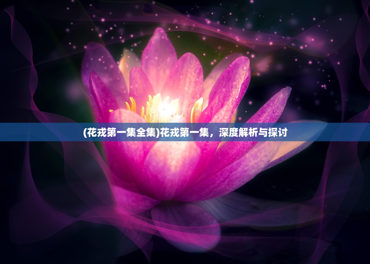 (食之契约wiki飨灵图鉴)食之契约wiki，探寻美食背后的神秘故事