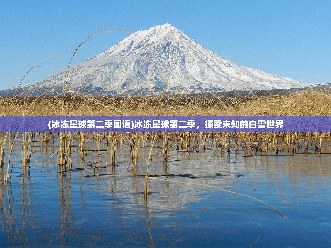 (王者一刀996版本传奇怎么设置接受好友)王者一刀996版本，重塑游戏体验的深度解析