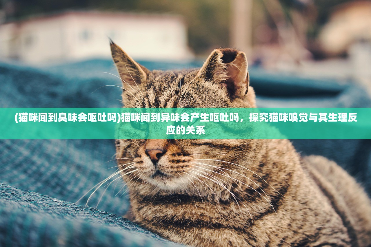 (战国修罗魂停运了)战国修罗魂现今是否仍可玩？游戏现状与展望