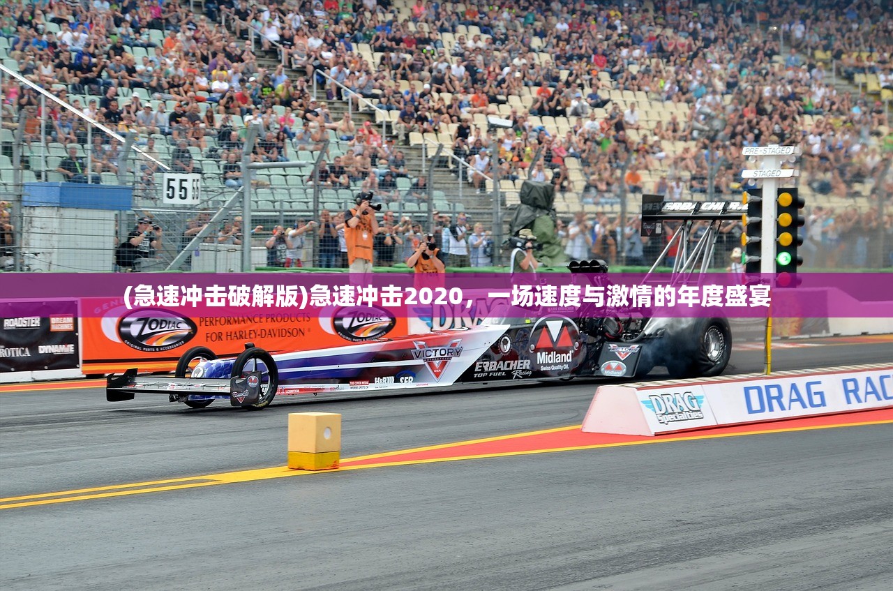 (掌门太忙为什么下架了呢)掌门太忙为何下架，深度探究原因及多元分析