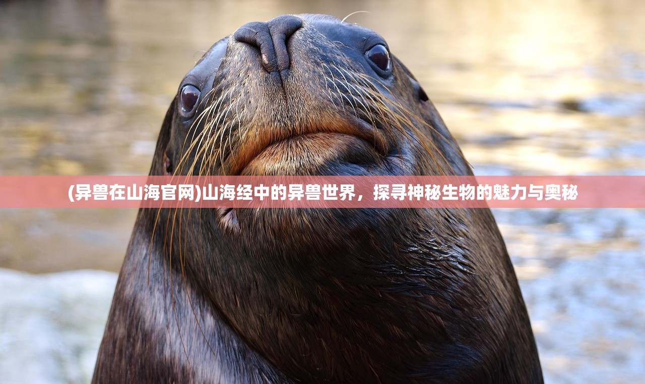 (月神誓约苍白的代行者全攻略)月神誓约，苍白的代行者之谜