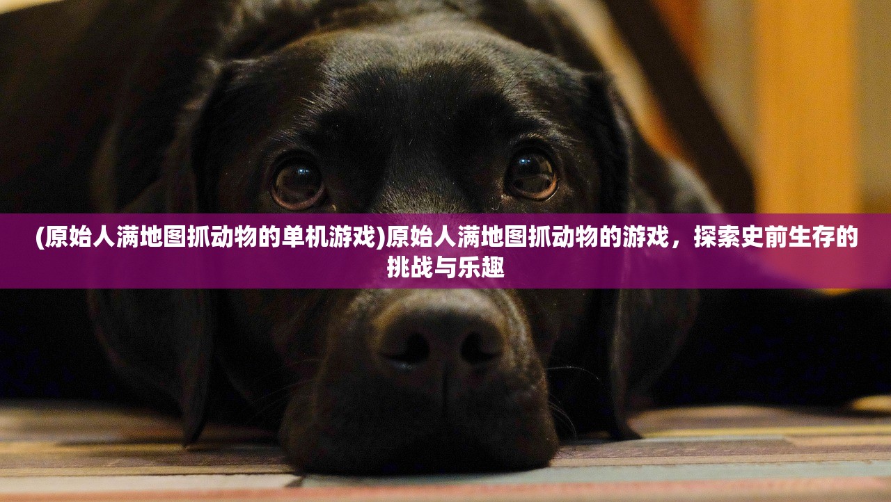 (大汉龙腾好看吗)大汉龙腾打金爆真充，游戏新体验的深度解析