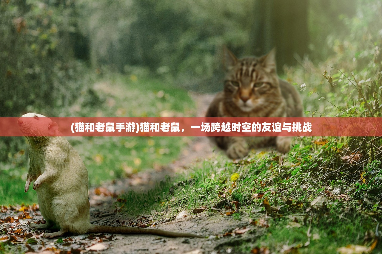 (怒剑传说攻略图文)怒剑传说攻略大全，从入门到精通的全方位指南
