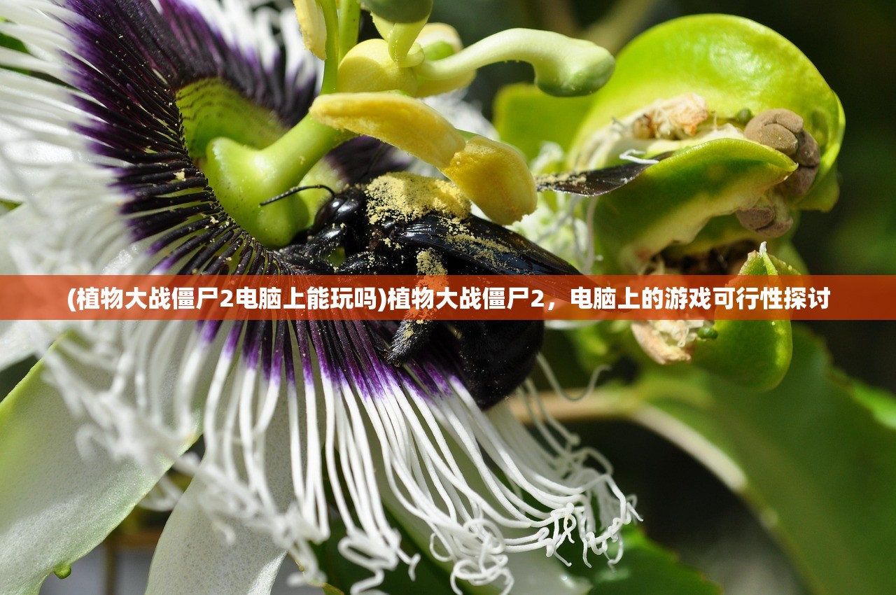 (拆东墙的背景故事有哪些)拆东墙的背景故事及其深层含义