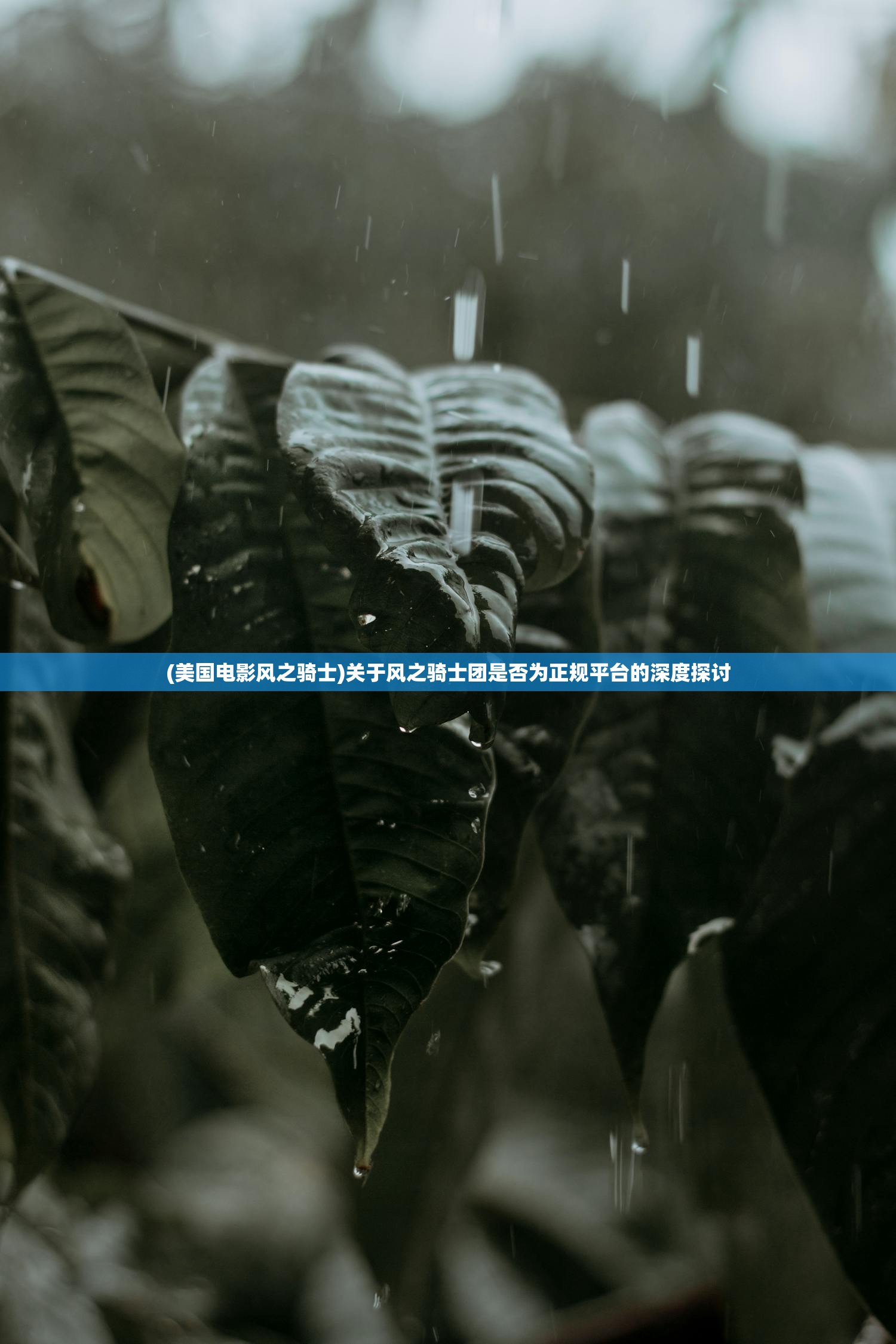 (全民疯抢)全民疯乐战攻略大全，游戏指南与常见问题解答