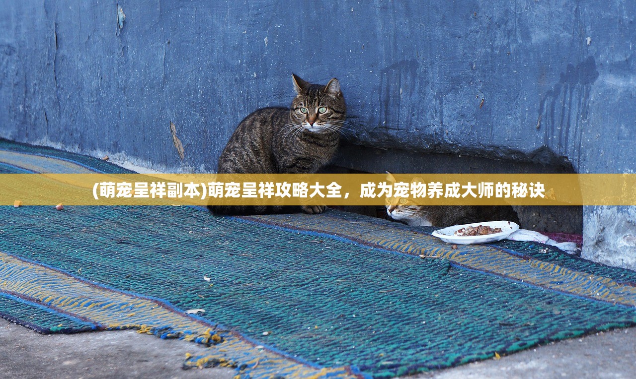 (火纹三楼)火纹三国攻略大全，从入门到精通