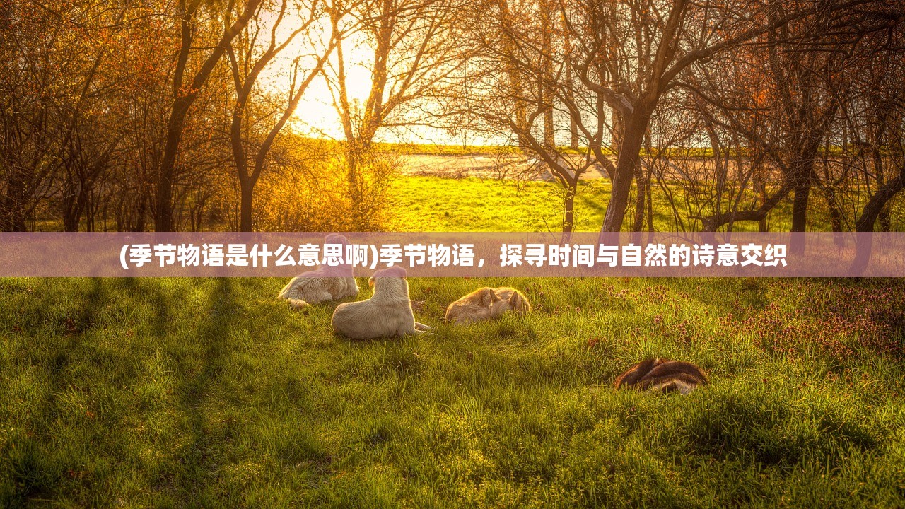 (造梦西游攻略视频完整版)造梦西游全面攻略视频解析及常见问题解答