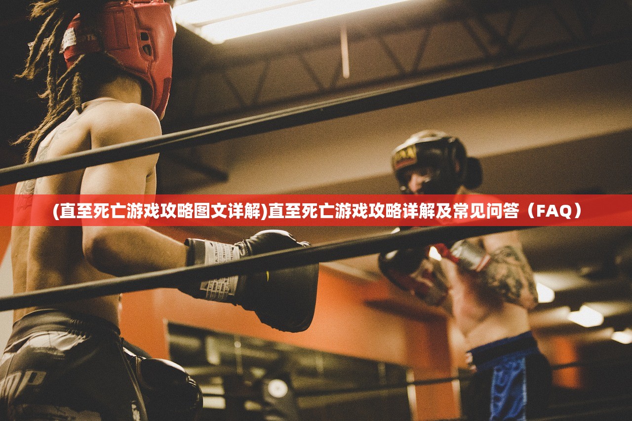 (龙骑士学院手游官网)龙骑士学院的奇幻之旅与骑士精神探索