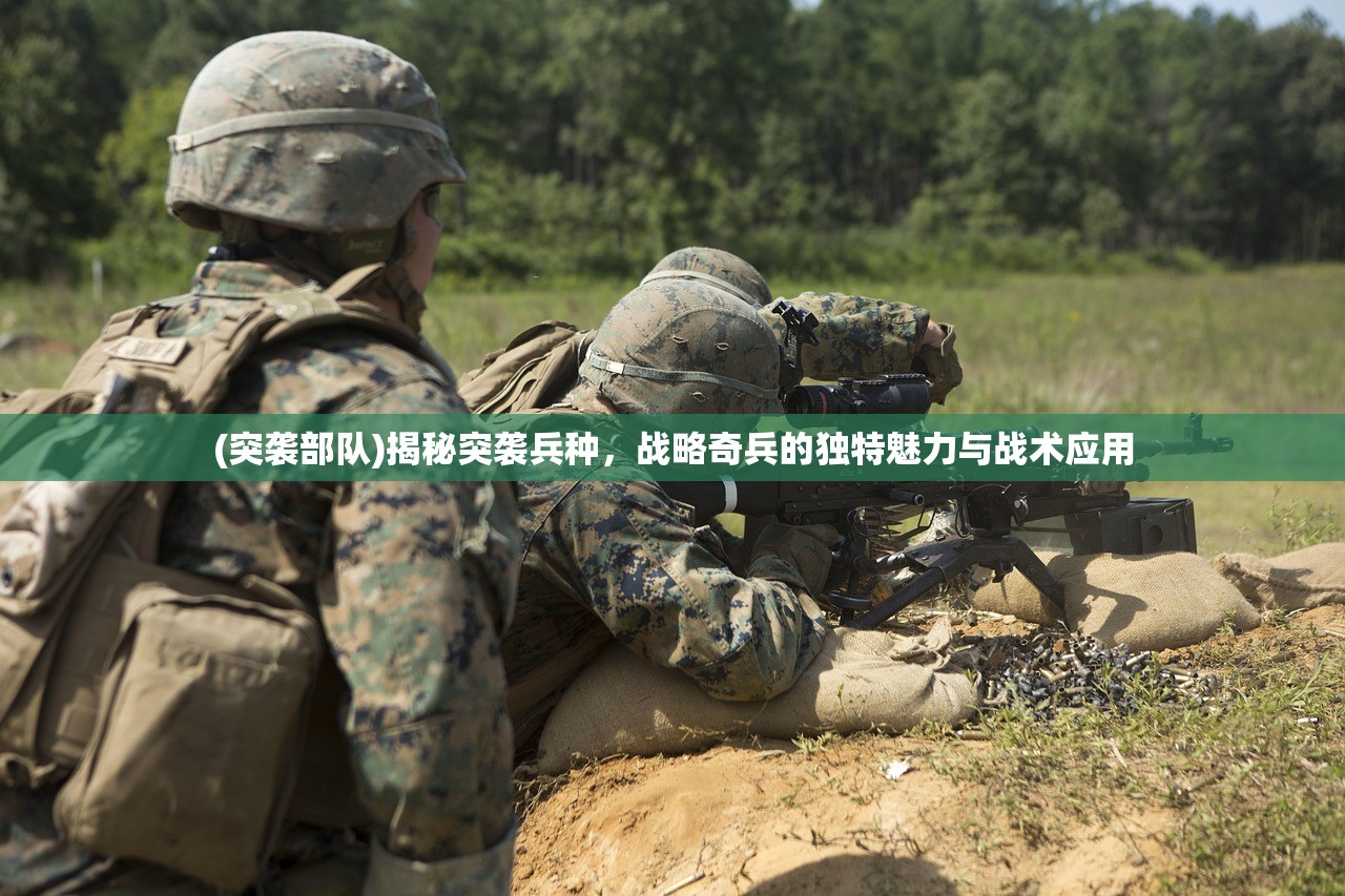 (永恒岛手游0氪职业推荐)永恒岛手游，探索奇幻世界的无尽魅力