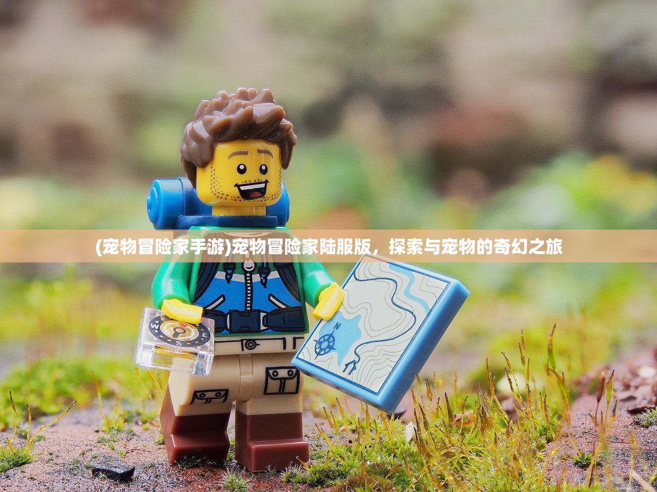 (战火勋章阵容搭配推荐 多种阵容分享)战火勋章，最佳阵容搭配策略