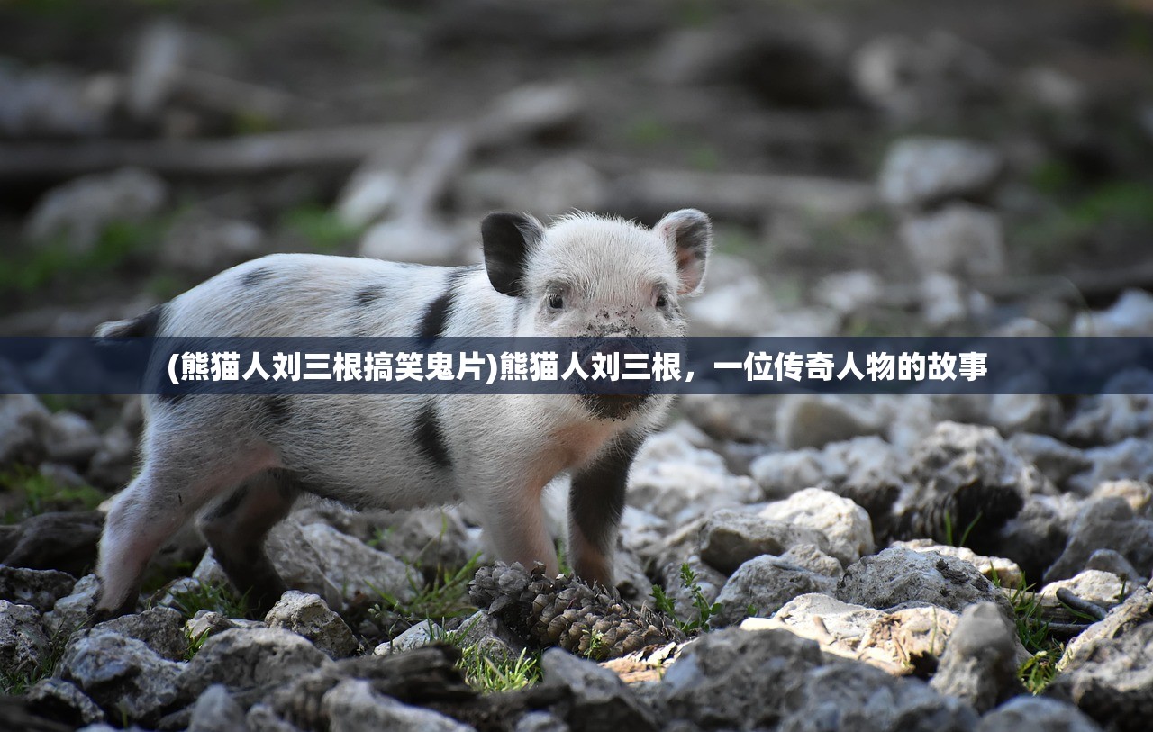 符剑如律令龙魂技能加点推荐——深度分析与策略指南