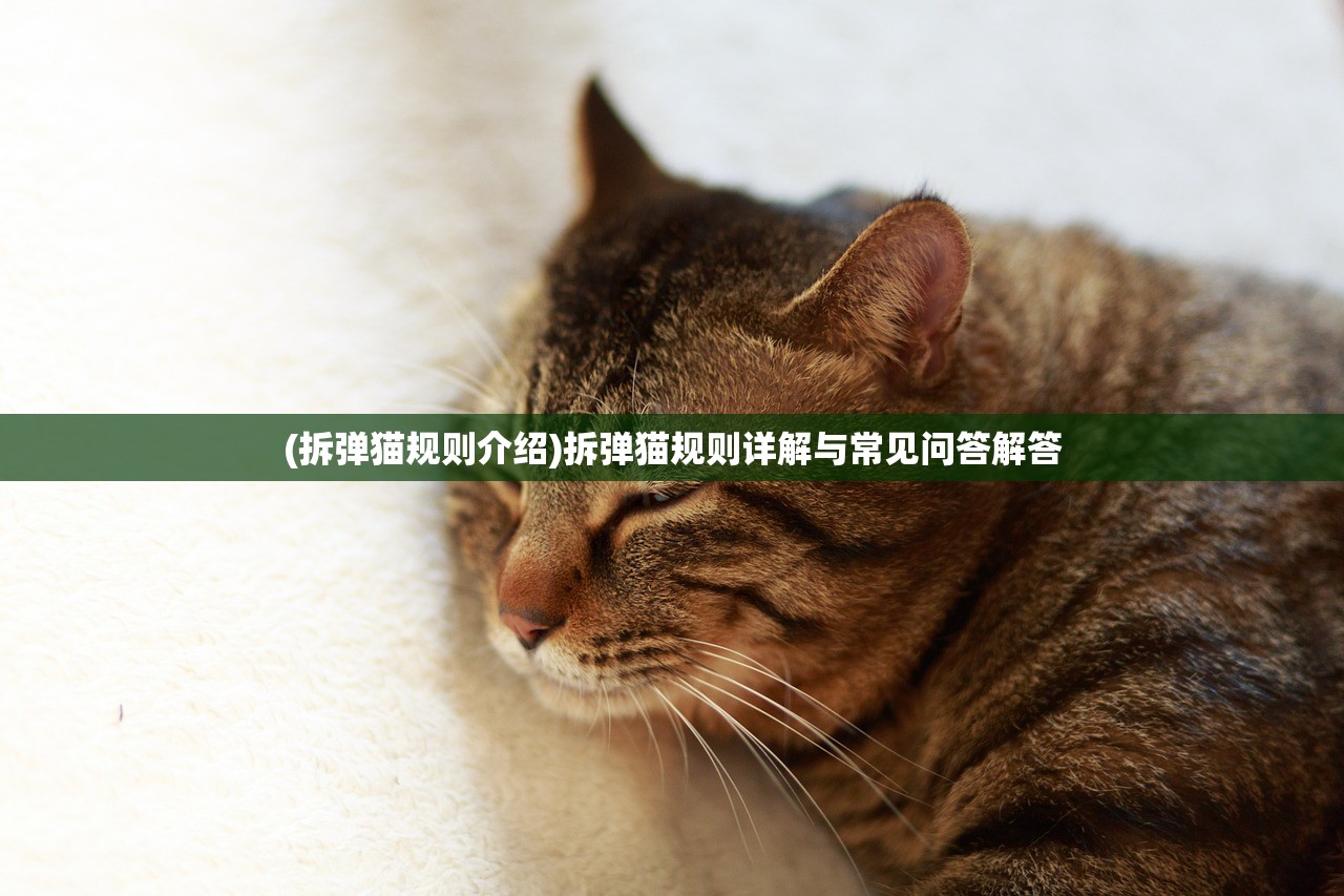 (进击的阿斯托拉手机游戏卸妆玩法)进击的阿斯托拉CG图，深度解析与探索