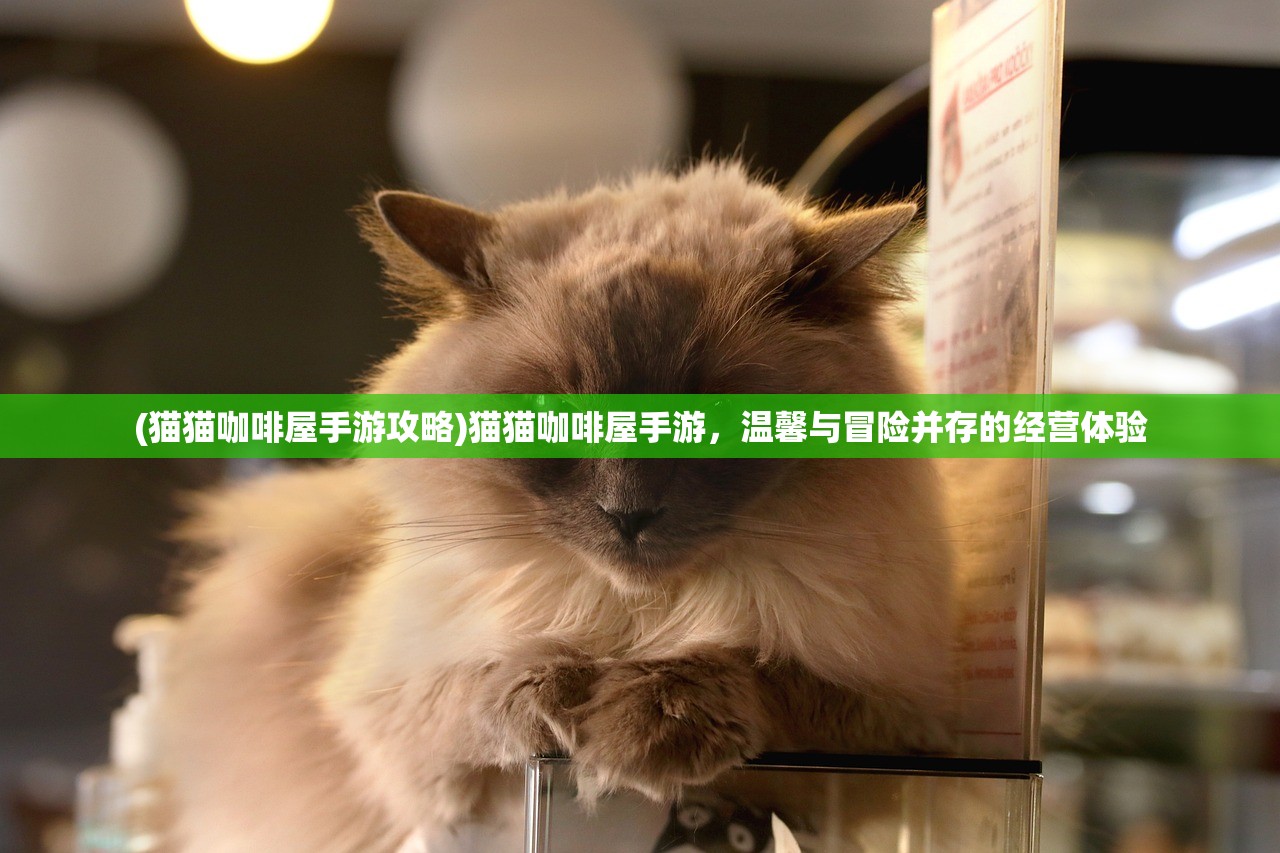 (战机代号666最新破解版本)战机代号666解锁版，全面解析与常见问题解答