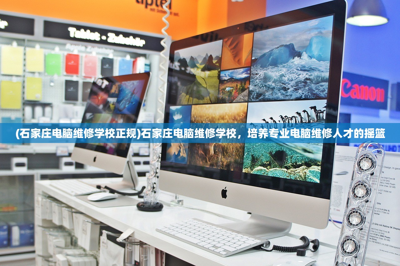 (冒险与合成兑换码)冒险与召唤ID码大全复制，探索未知的神秘世界