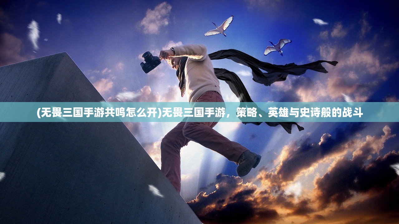 (少年驯龙记职业搭配表)少年驯龙记，职业搭配策略与深度解析