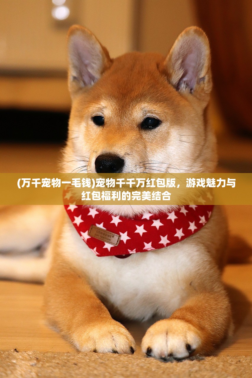 (霸王之业之幕府野望资源表)霸王之业之幕府野望，战国时代的策略与决策