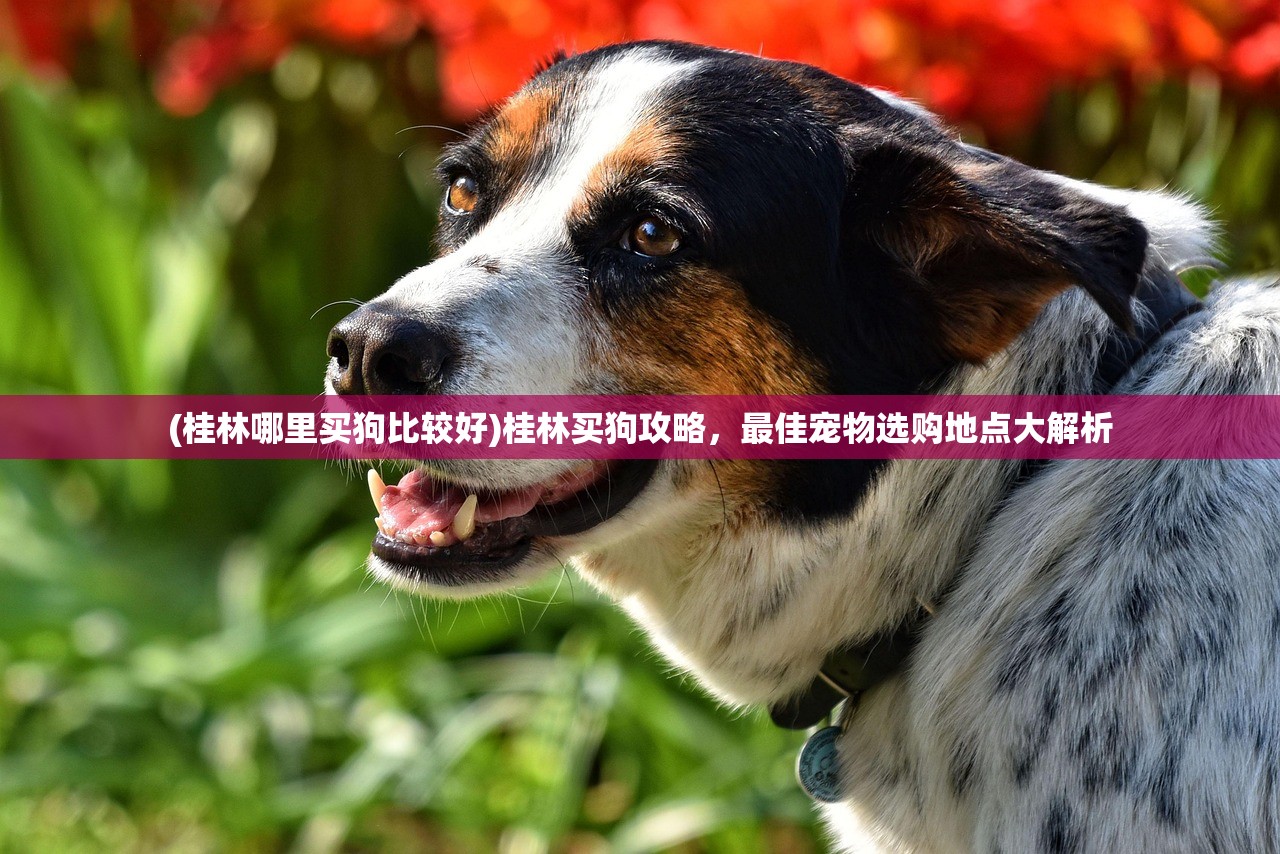 (剑道尘心原名叫什么)剑道尘心最出名十首诗及其深度解析
