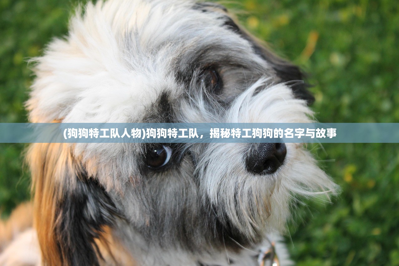 (铁血争霸手游攻略大全)铁血争霸手游，战略与荣耀的舞台