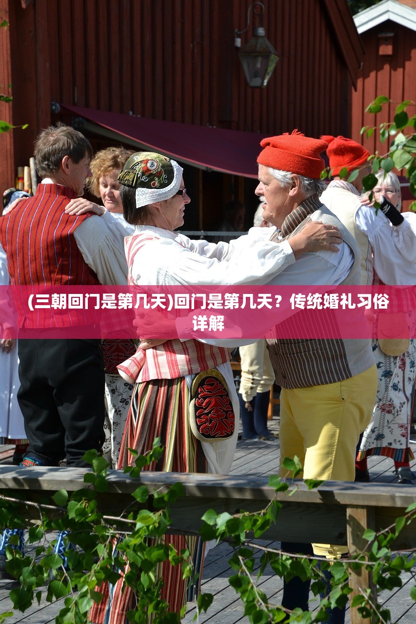 (演义三国叁礼包码)演义三国叁，深度解析与探索