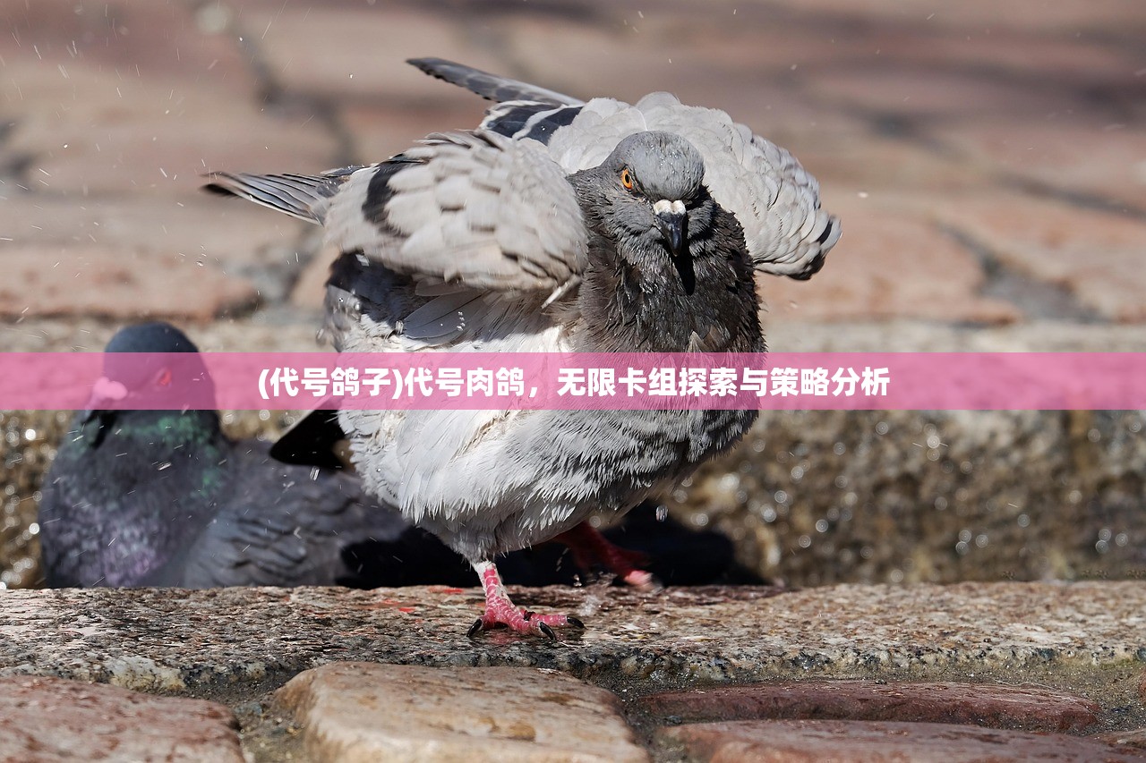(英雄令牌无畏契约有什么用)英雄令牌无畏契约，探索神秘力量的起源与意义