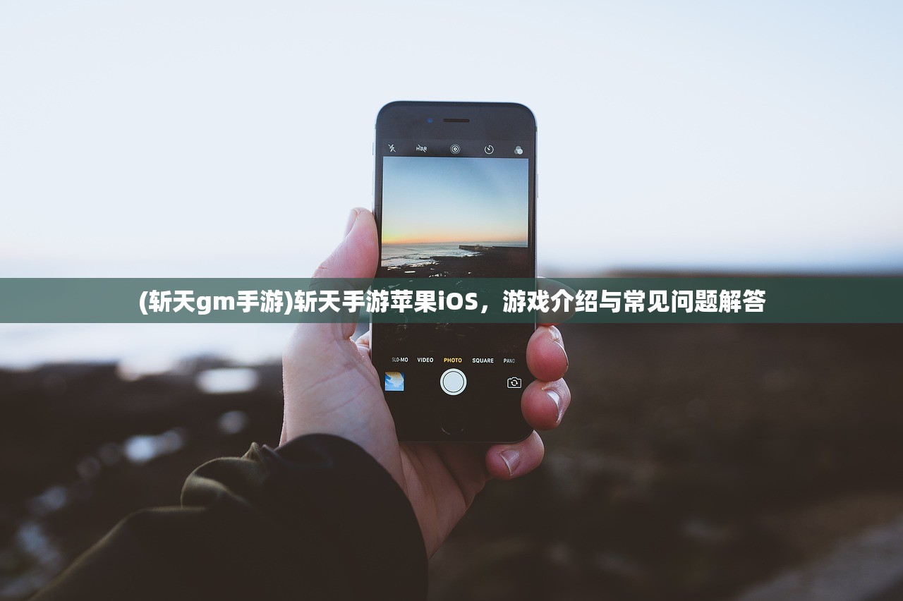 (代号百度百科)代号百科，深入解析与探索