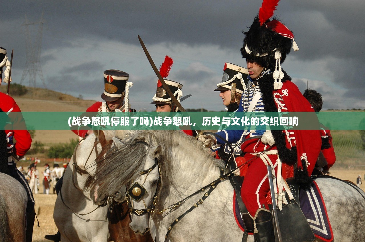 (刀使巫女手游wiki)刀使巫女手游停服，深度分析与探讨