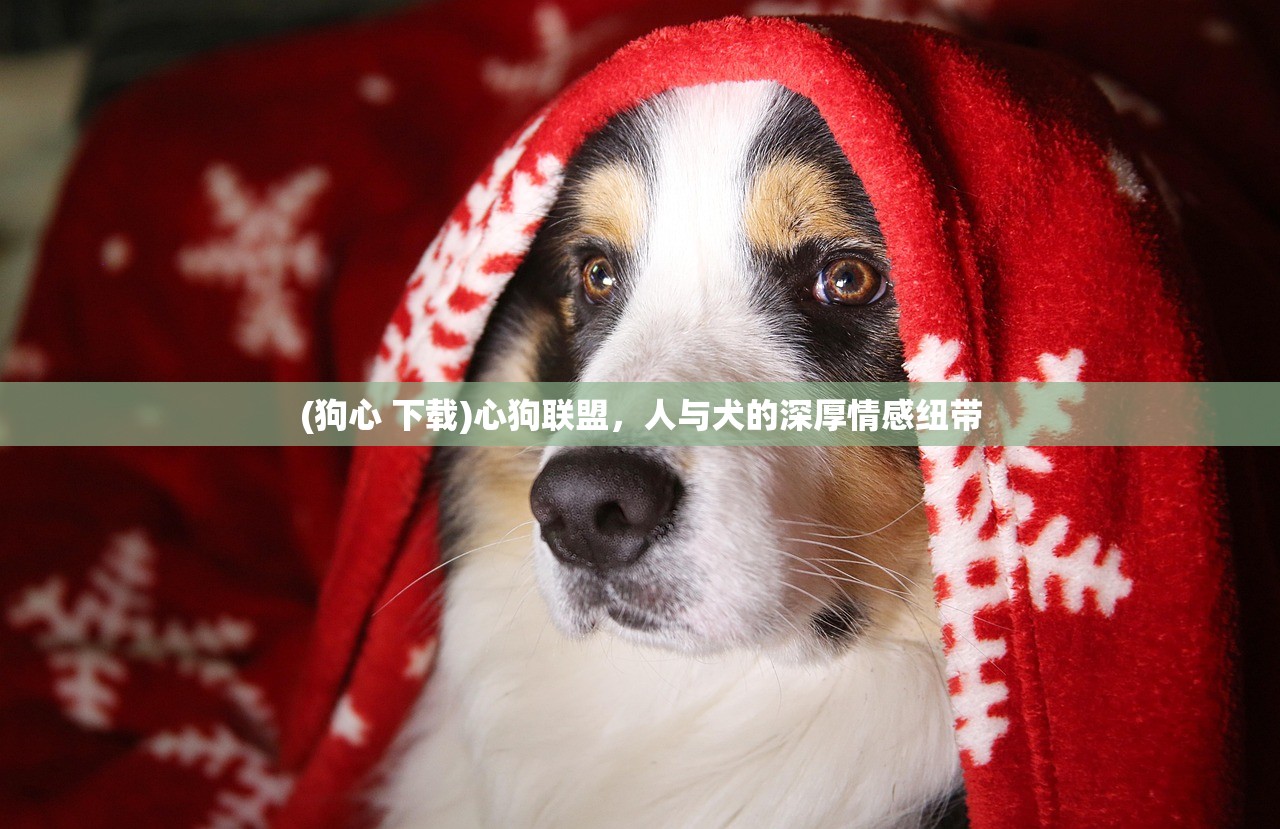 (万古第一剑最新章节笔趣阁下载)万古第一剑最新章节笔趣阁，剑道传奇的热血篇章