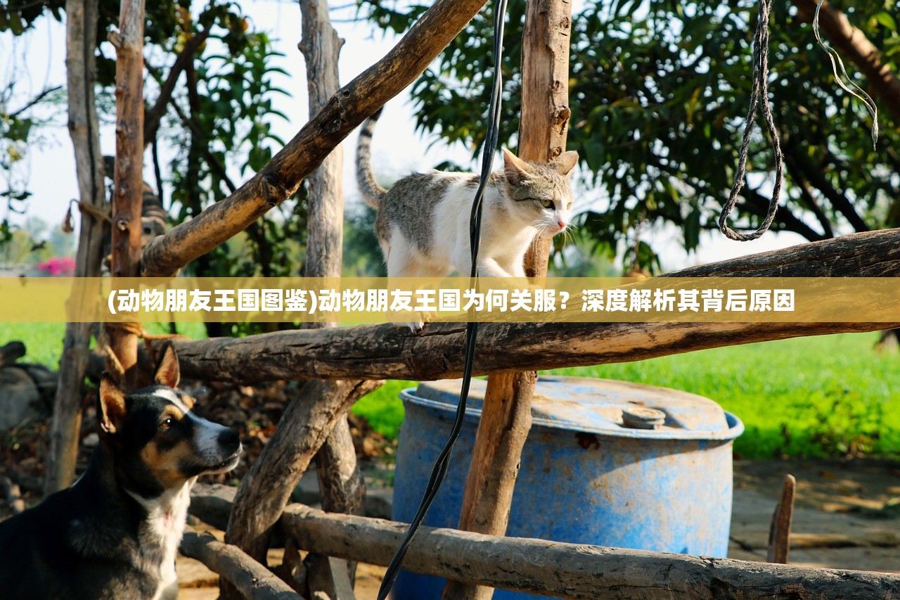 (全民三国战纪攻略大全最新)全民三国战纪攻略大全，从入门到精通