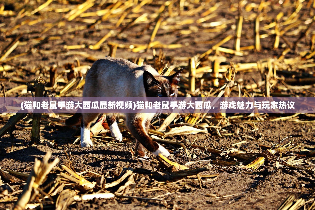 (渡劫仙侠手游官网)渡劫仙侠手游，探索神秘仙侠世界的奇幻之旅