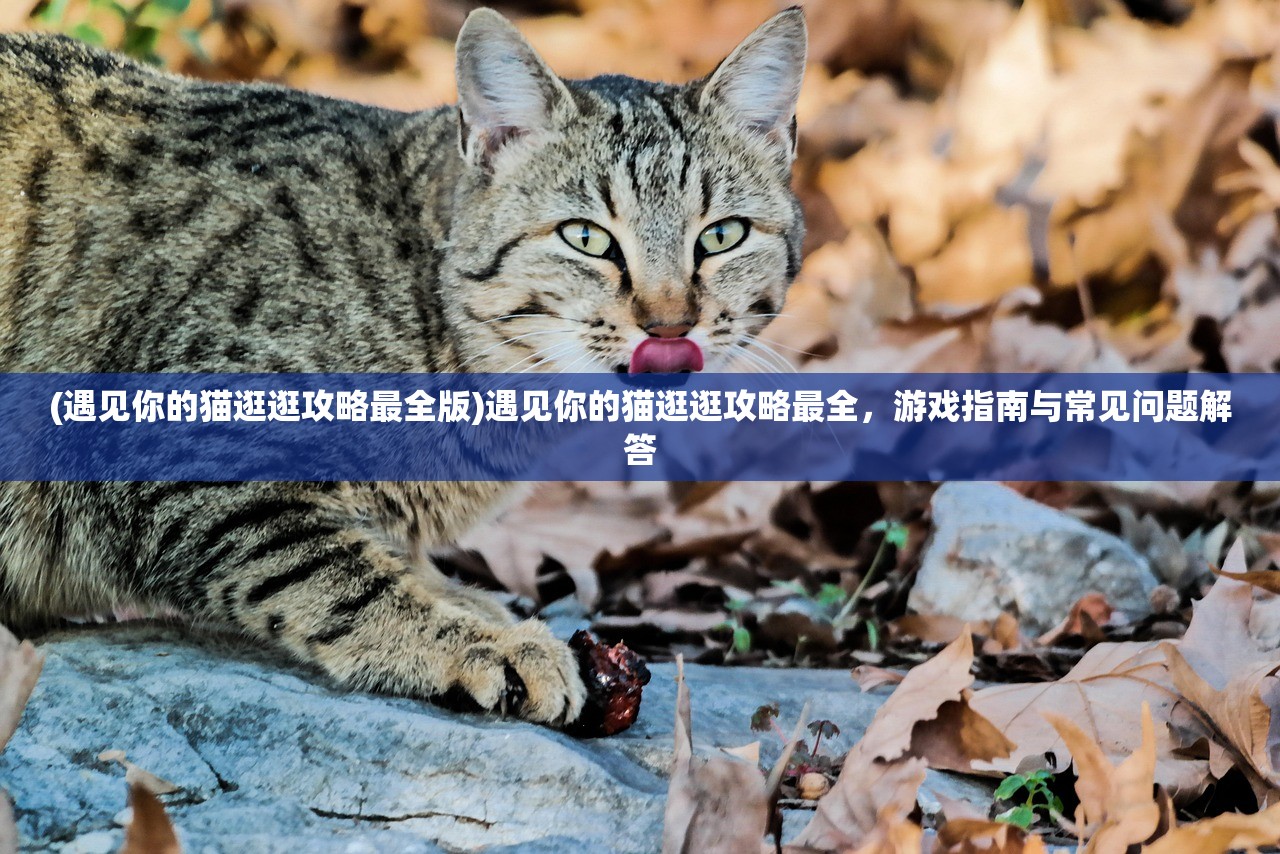 (重构阿塔提斯激活码怎么获得)重构阿塔提斯激活码，解锁新体验的关键步骤