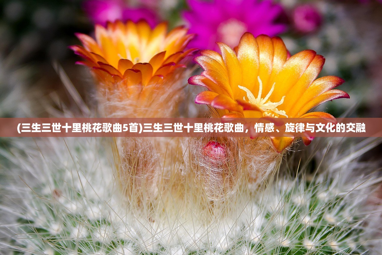 (乾坤剑神景言免费完整版)乾坤剑神，神秘力量的探索与解读