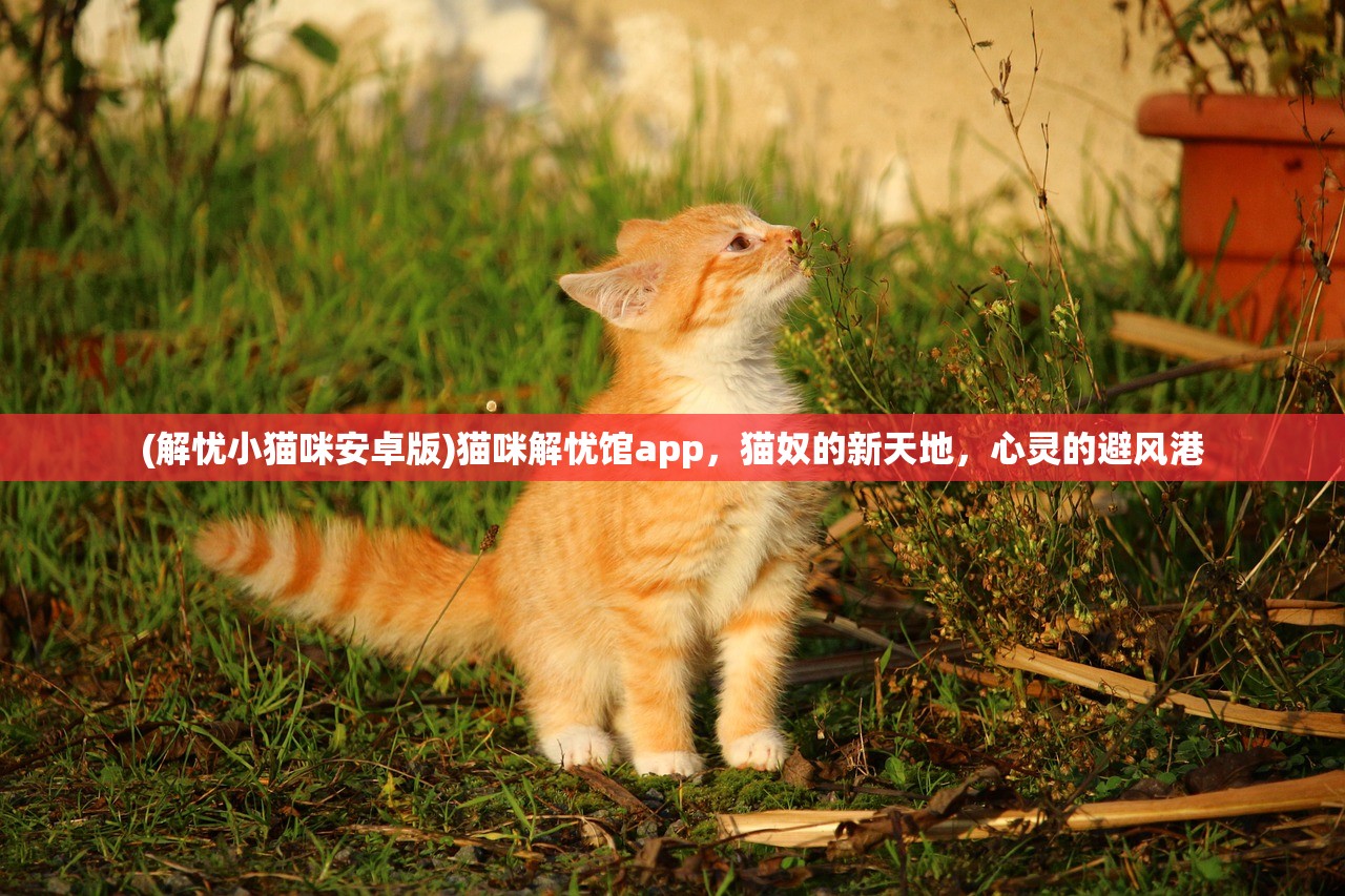 (侠客少年行好玩吗)侠客少年行攻略大全，游戏攻略与常见问题解答
